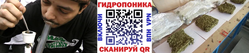 Купить закладку A-PVP Бошки Шишки COCAIN МЕФ Гашиш Красавино