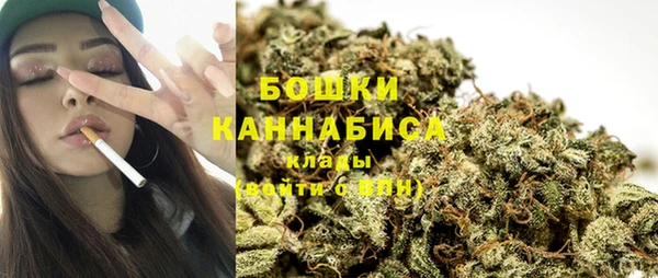 дживик Иннополис