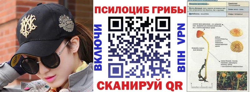Купить закладки  Красавино  Галлюциногенные грибы Cubensis 